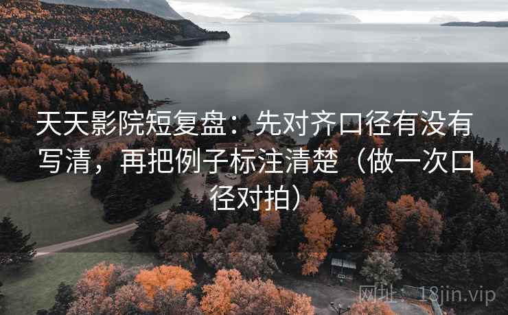 天天影院短复盘：先对齐口径有没有写清，再把例子标注清楚（做一次口径对拍）